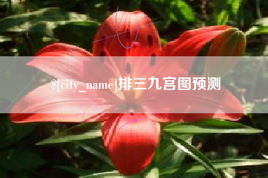 黄冈排三九宫图预测