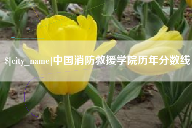 黄冈中国消防救援学院历年分数线