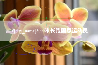 黄冈5000米长跑国家运动员