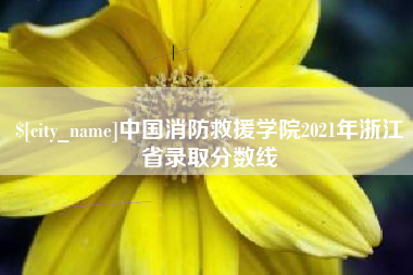 黄冈中国消防救援学院2021年浙江省录取分数线