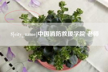 黄冈中国消防救援学院 老师