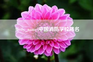 黄冈中国消防学校排名