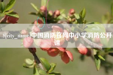 黄冈中国消防官网中小学消防公开课