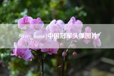 黄冈中国冠军头像图片