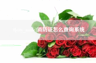 黄冈消防证怎么查询系统