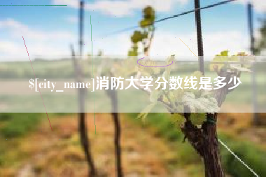 黄冈消防大学分数线是多少