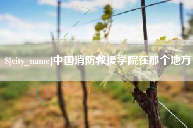 黄冈中国消防救援学院在那个地方