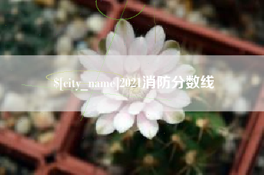 黄冈2021消防分数线