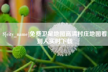 黄冈免费卫星地图高清村庄地图看到人实时下载