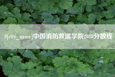 黄冈中国消防救援学院2018分数线