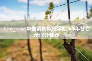 黄冈中国消防救援学院2020年各省录取分数线