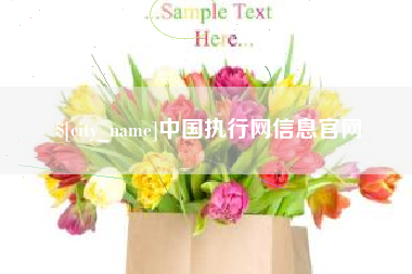 黄冈中国执行网信息官网