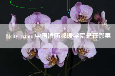 黄冈中国消防救援学院是在哪里