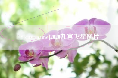 黄冈2020九宫飞星图片