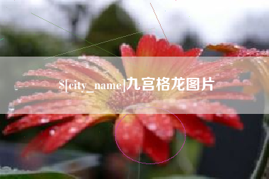 黄冈九宫格龙图片