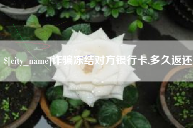 黄冈诈骗冻结对方银行卡,多久返还