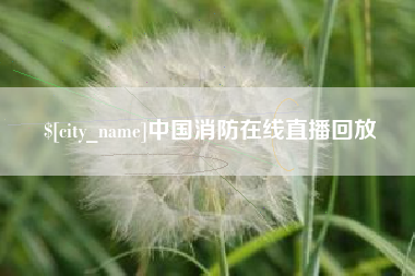 黄冈中国消防在线直播回放