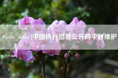 黄冈中国执行信息公开网平台维护