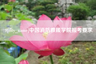 黄冈中国消防救援学院报考要求
