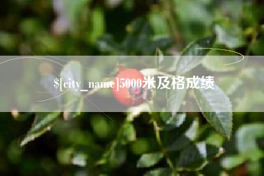 黄冈5000米及格成绩