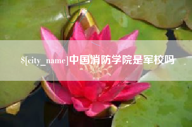 黄冈中国消防学院是军校吗