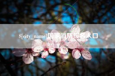 黄冈国家消防报名入口