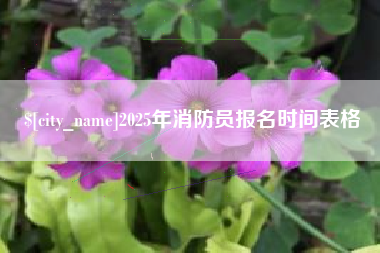 黄冈2025年消防员报名时间表格