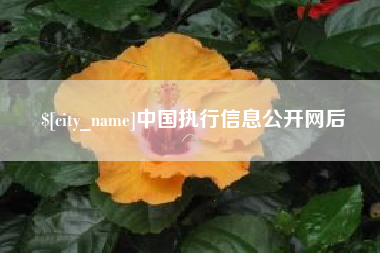 黄冈中国执行信息公开网后