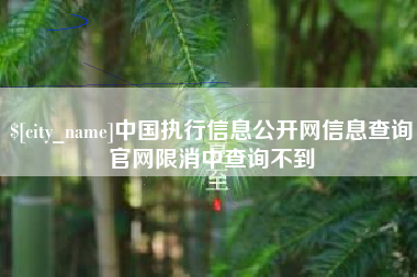 黄冈中国执行信息公开网信息查询官网限消中查询不到