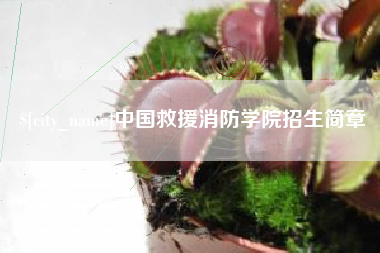 黄冈中国救援消防学院招生简章