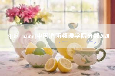 黄冈中国消防救援学院分数2020