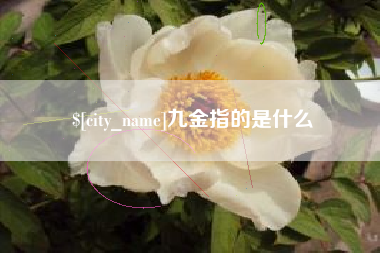 黄冈九金指的是什么