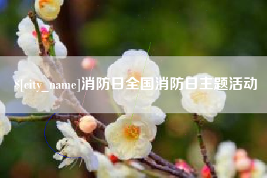 黄冈消防日全国消防日主题活动