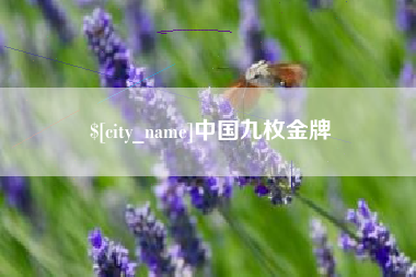 黄冈中国九枚金牌