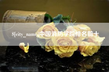 黄冈中国消防学院排名前十