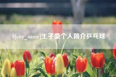 黄冈王子豪个人简介乒乓球