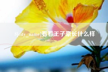 黄冈看看王子豪长什么样