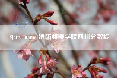 黄冈消防救援学院四川分数线