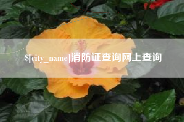 黄冈消防证查询网上查询