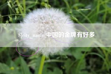 黄冈中国的金牌有好多