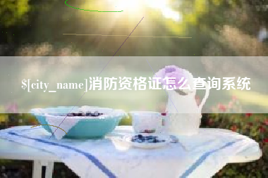 黄冈消防资格证怎么查询系统
