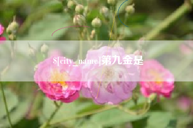 黄冈第九金是