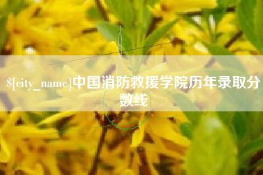 黄冈中国消防救援学院历年录取分数线