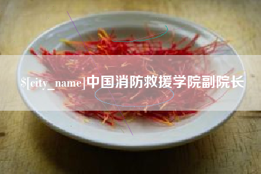 黄冈中国消防救援学院副院长