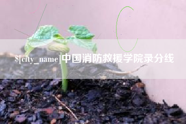 黄冈中国消防救援学院录分线
