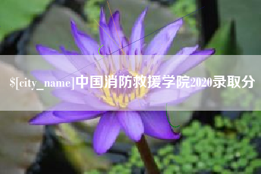 黄冈中国消防救援学院2020录取分