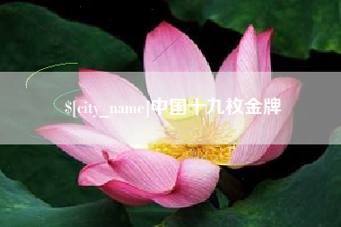 黄冈中国十九枚金牌