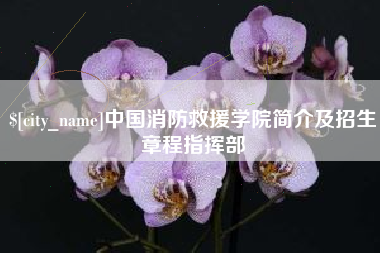黄冈中国消防救援学院简介及招生章程指挥部