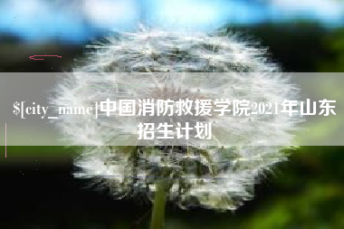 黄冈中国消防救援学院2021年山东招生计划