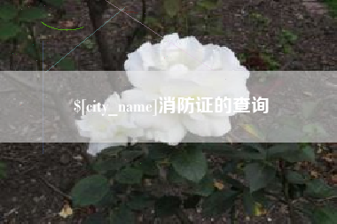 黄冈消防证的查询
